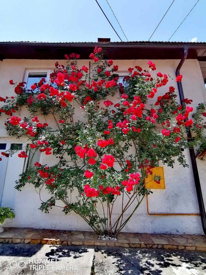Modern&Cozy Bosnian House With Garden+Free Parking Hotel Sarajevo Ngoại thất bức ảnh