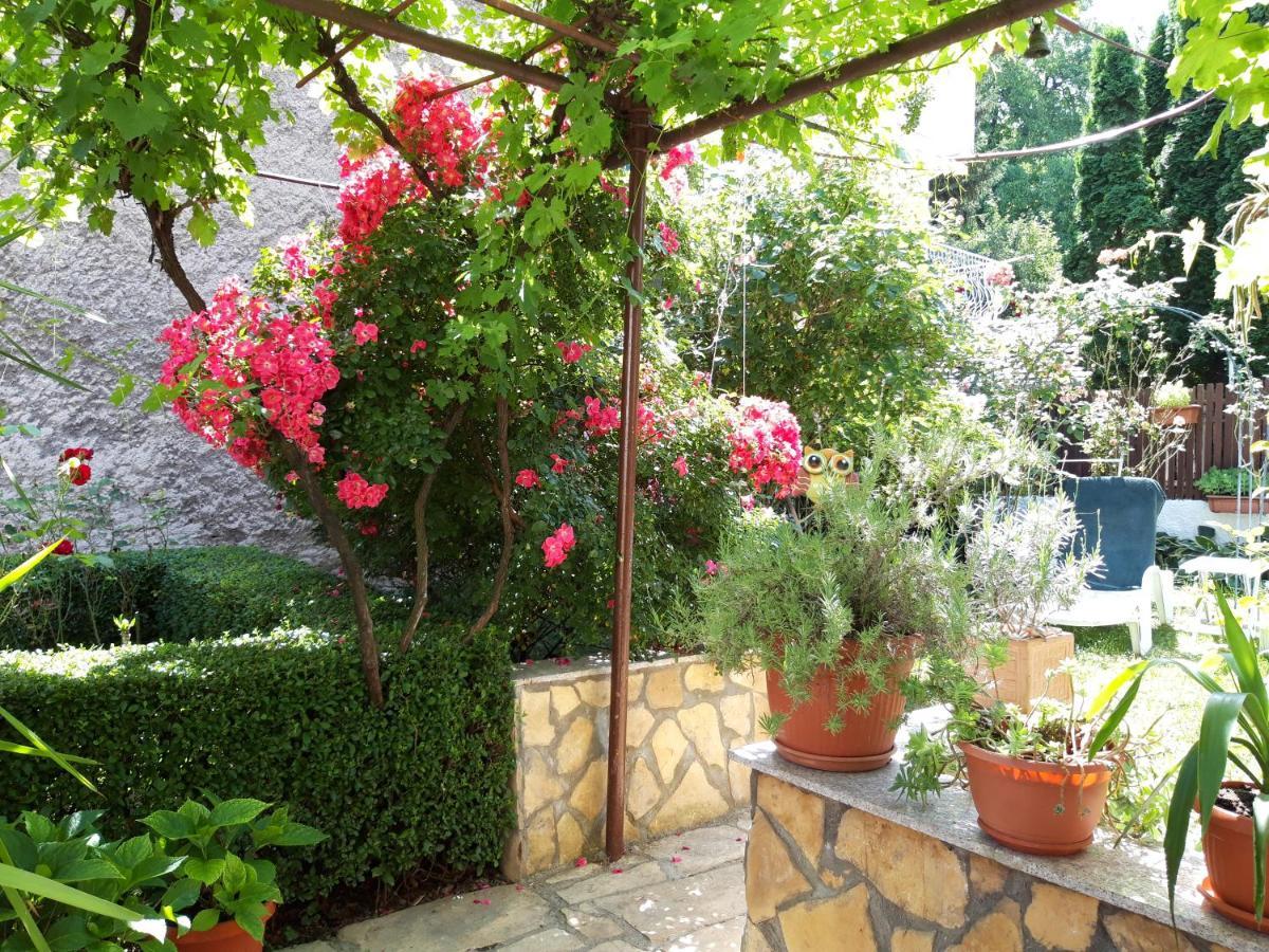 Modern&Cozy Bosnian House With Garden+Free Parking Hotel Sarajevo Ngoại thất bức ảnh