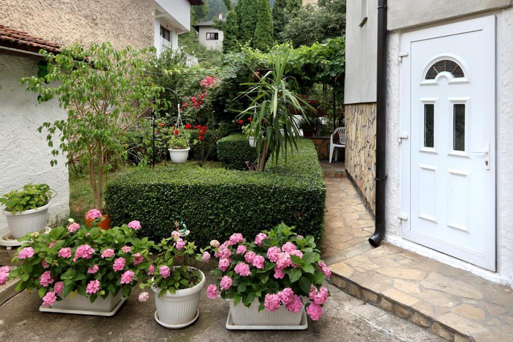 Modern&Cozy Bosnian House With Garden+Free Parking Hotel Sarajevo Ngoại thất bức ảnh