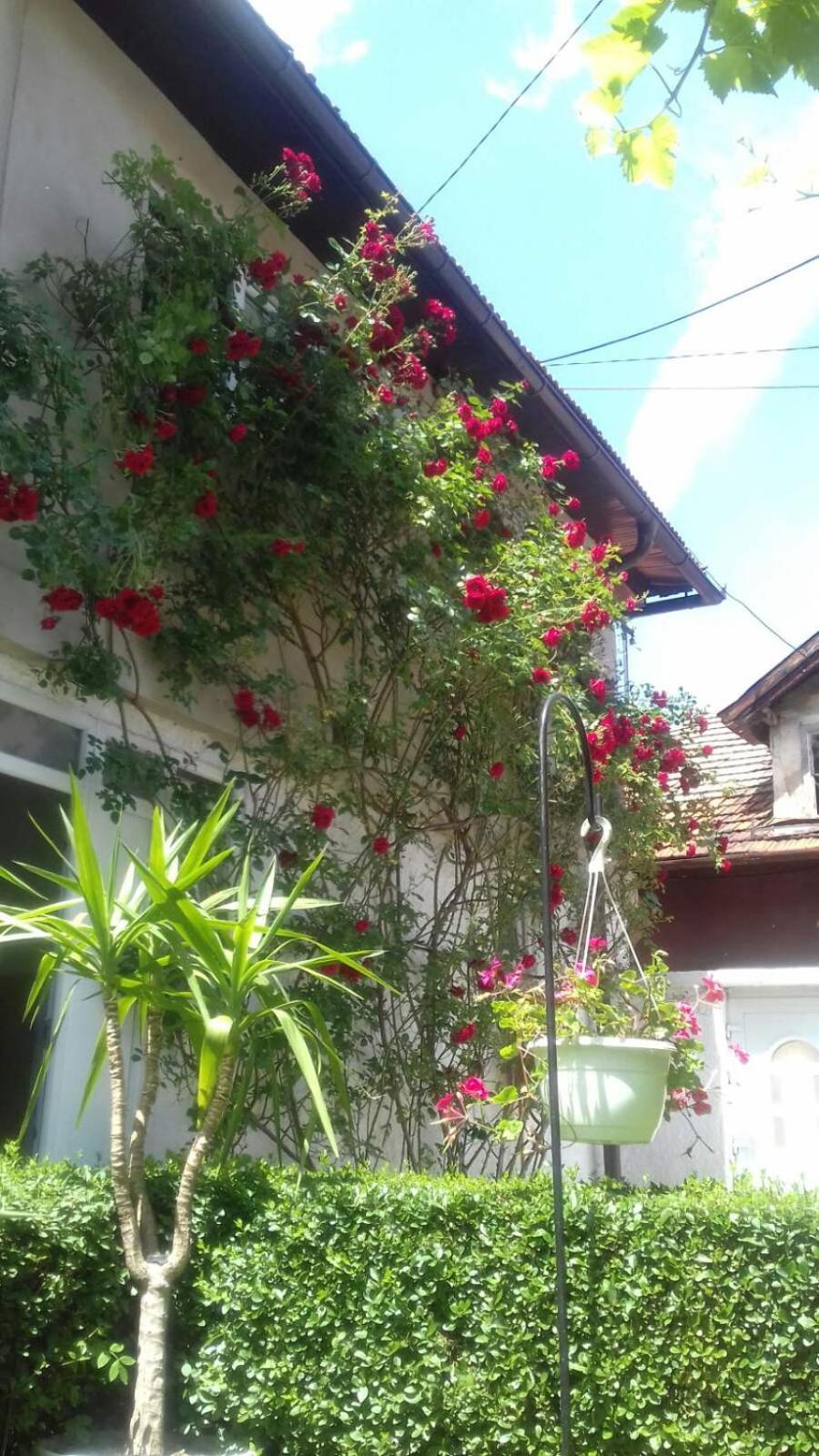 Modern&Cozy Bosnian House With Garden+Free Parking Hotel Sarajevo Phòng bức ảnh