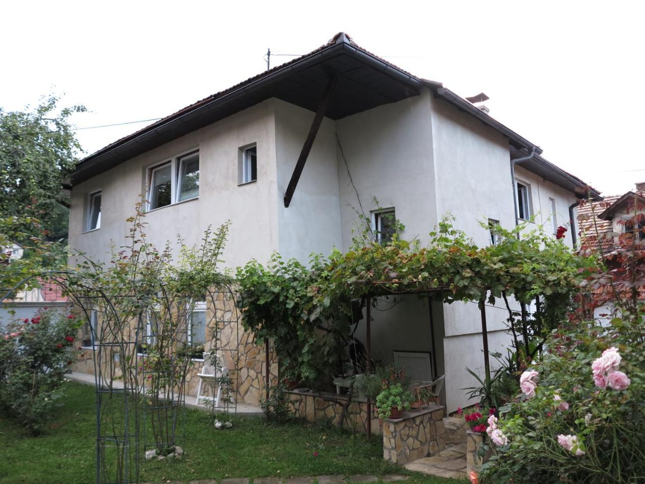 Modern&Cozy Bosnian House With Garden+Free Parking Hotel Sarajevo Ngoại thất bức ảnh