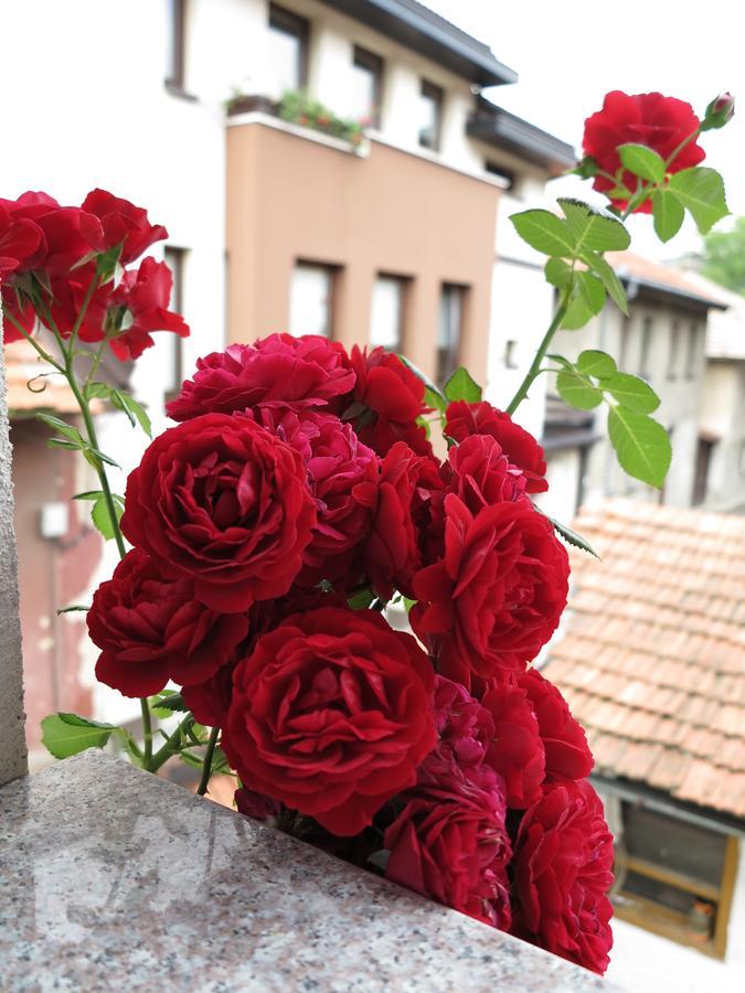 Modern&Cozy Bosnian House With Garden+Free Parking Hotel Sarajevo Ngoại thất bức ảnh